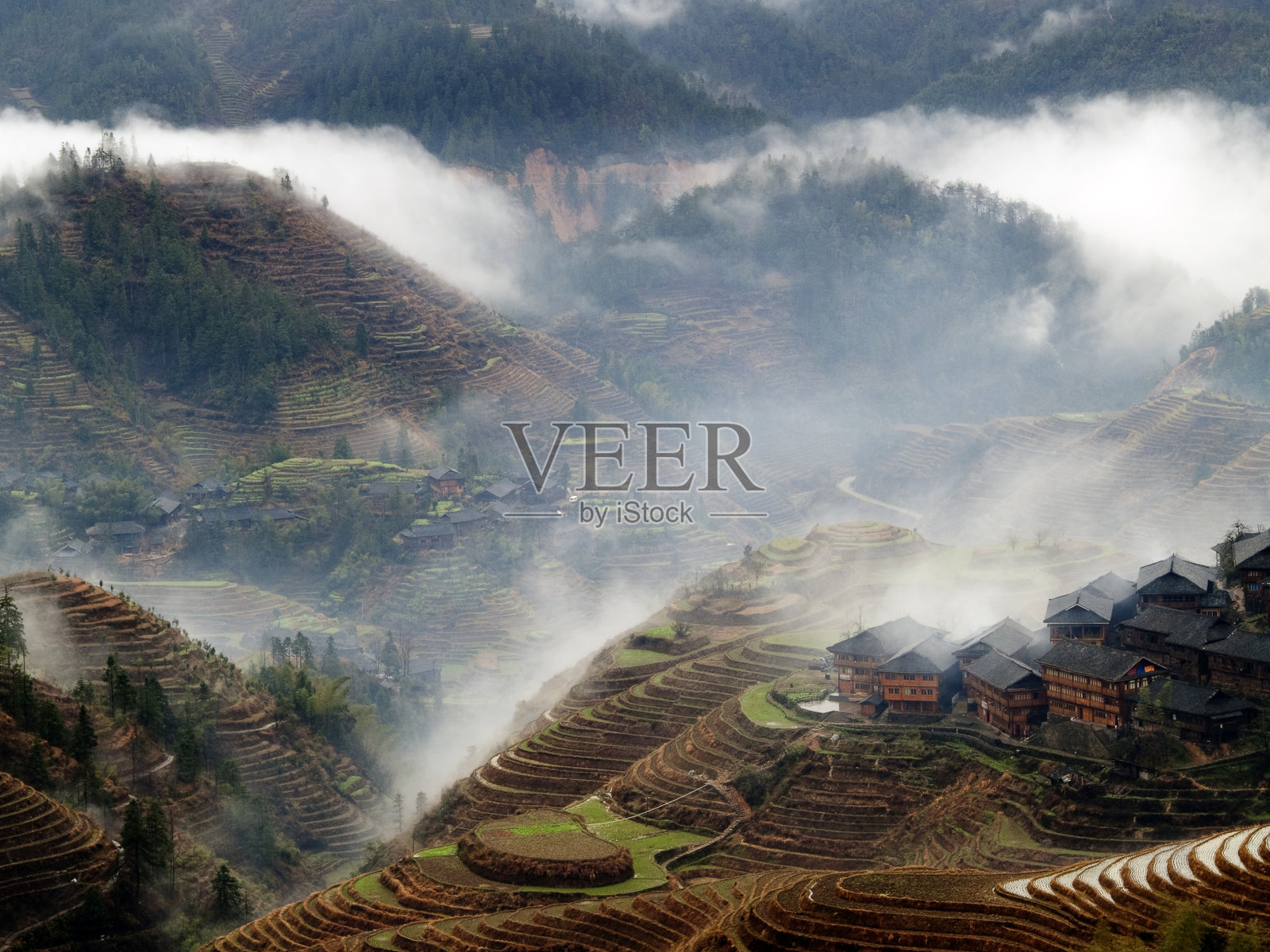 雾中的村庄和梯田照片摄影图片