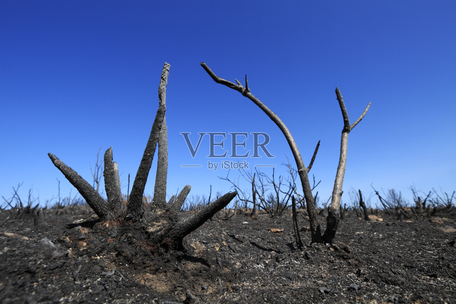 火灾现场照片摄影图片