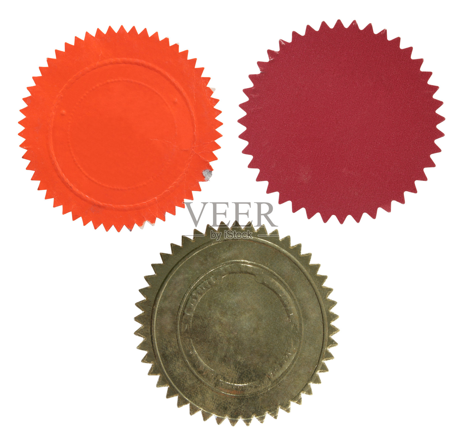 三个不同的海豹照片摄影图片