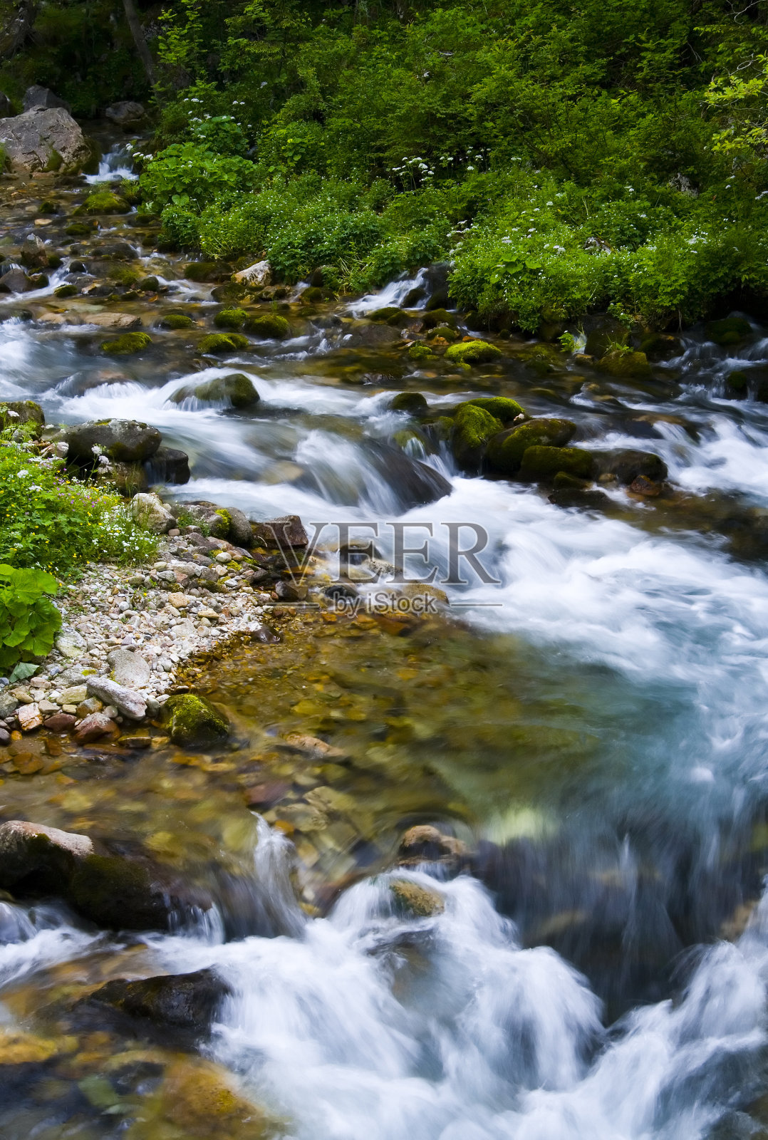 山上的野生瀑布照片摄影图片