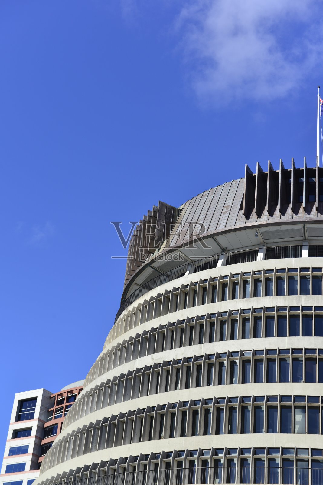 蜂巢照片摄影图片