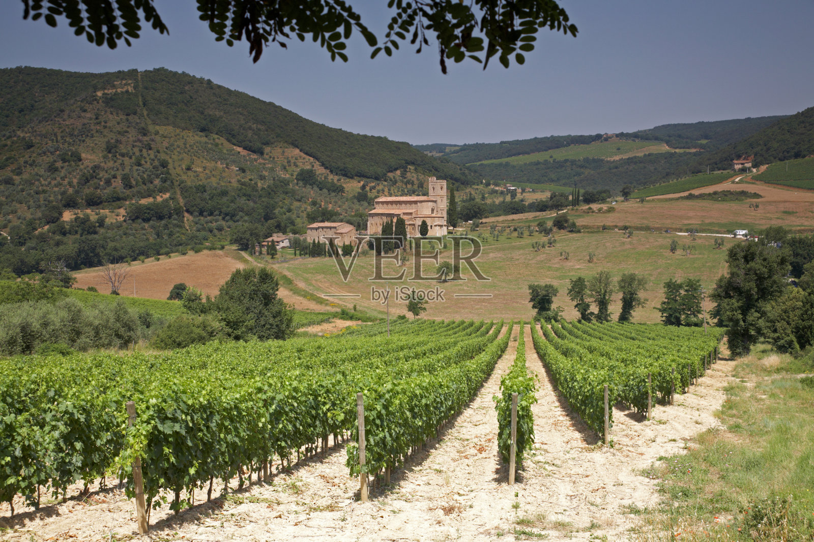 圣安提莫，托斯卡纳照片摄影图片