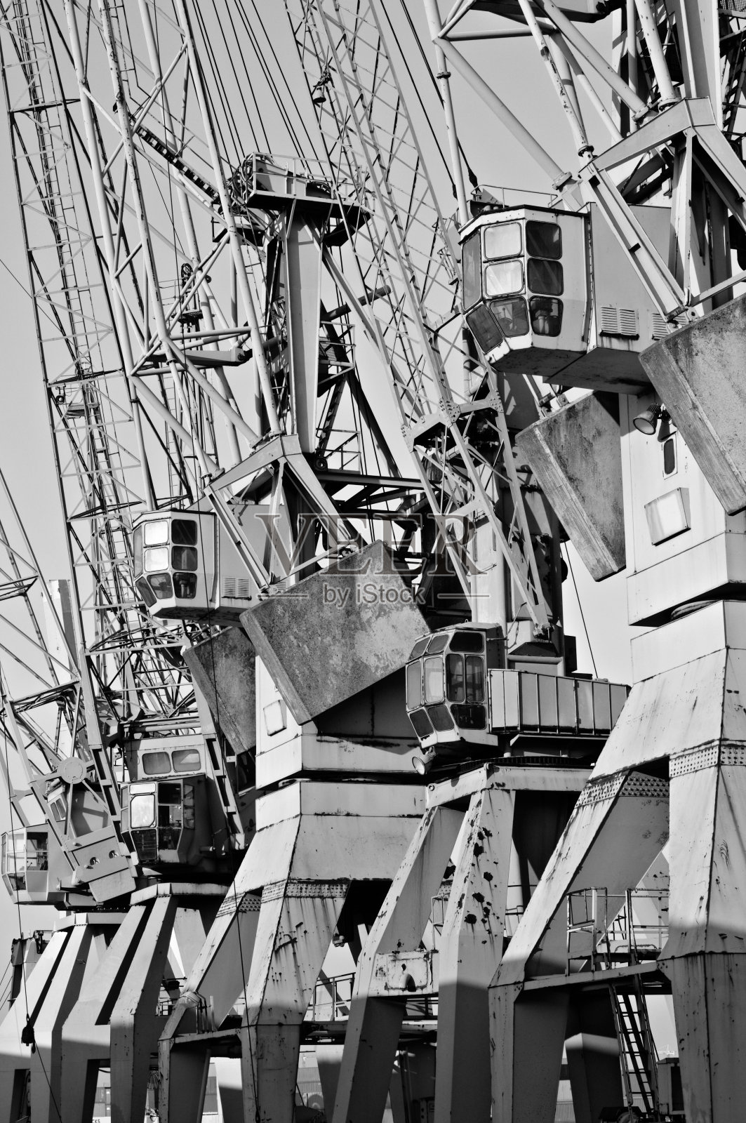 起重机芭蕾舞照片摄影图片