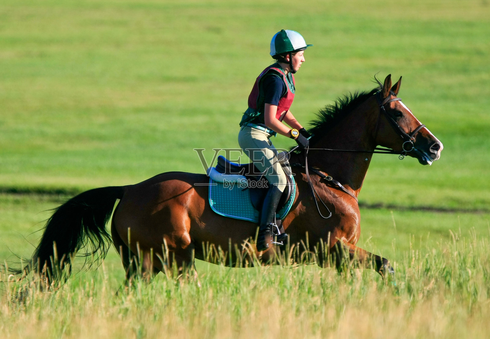 在草地上奔跑照片摄影图片