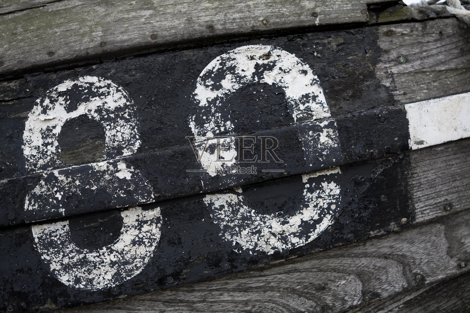 80年老照片摄影图片