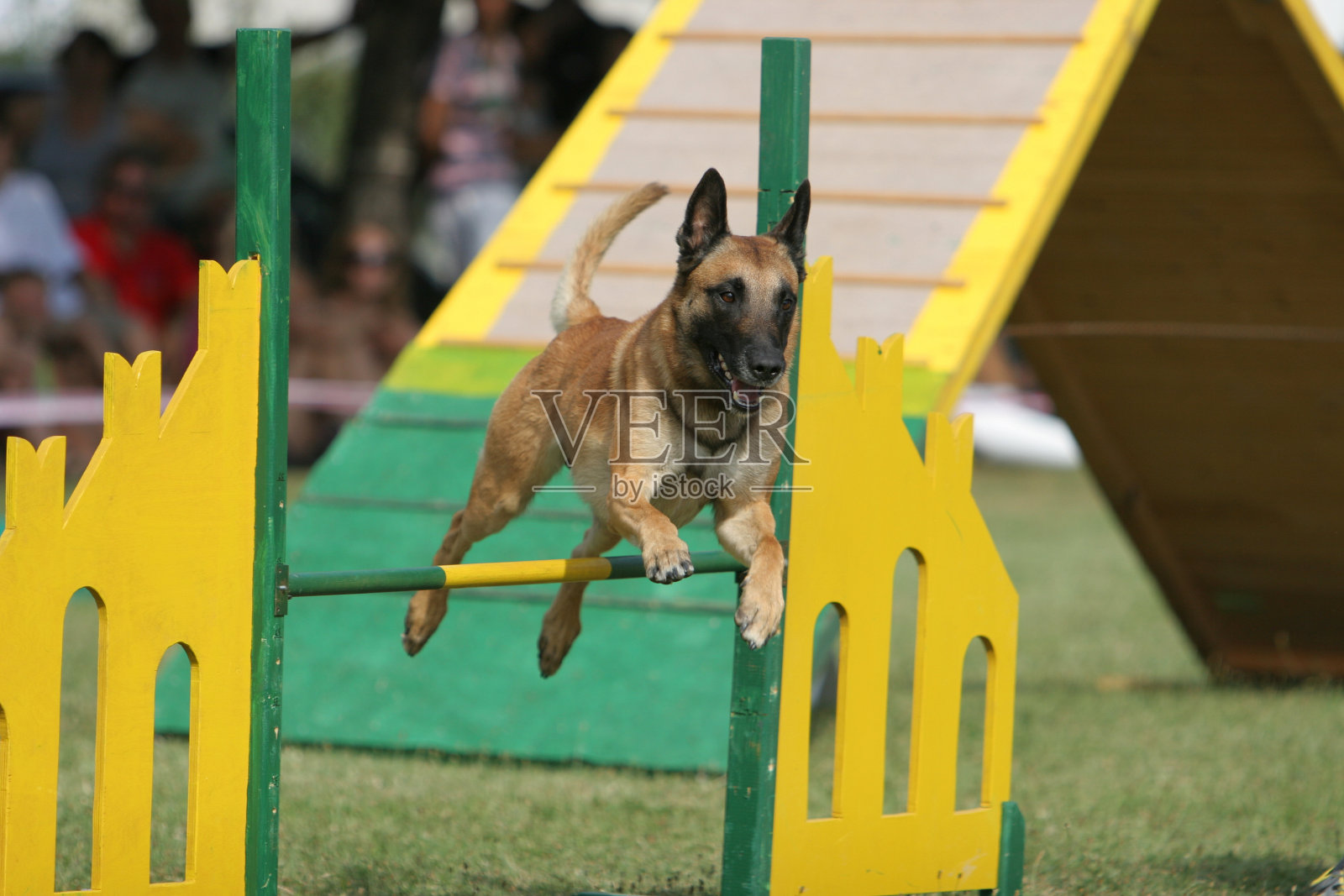 跳照片摄影图片
