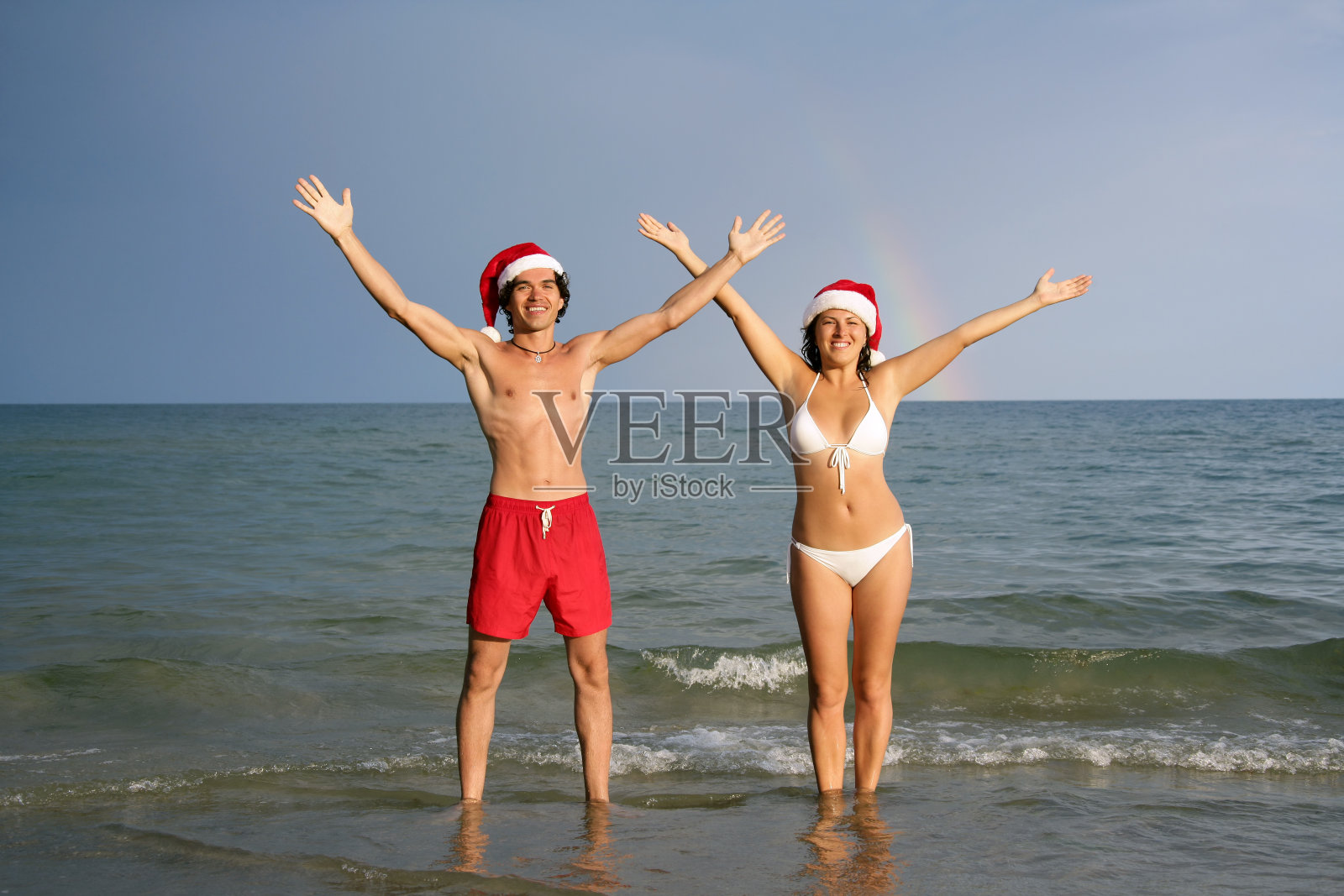 热带的圣诞节照片摄影图片