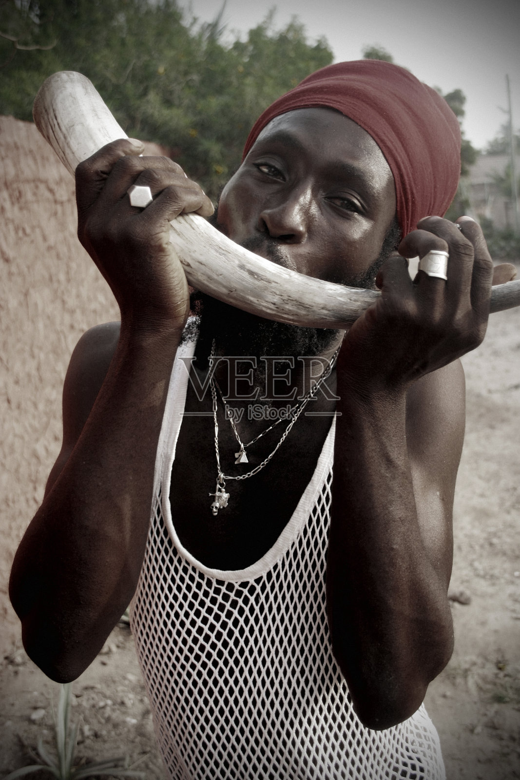 圆滚滚的角照片摄影图片