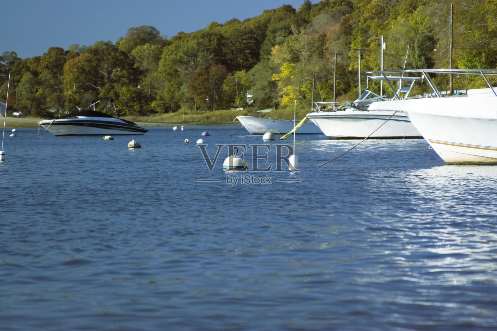 停泊处的游艇照片摄影图片
