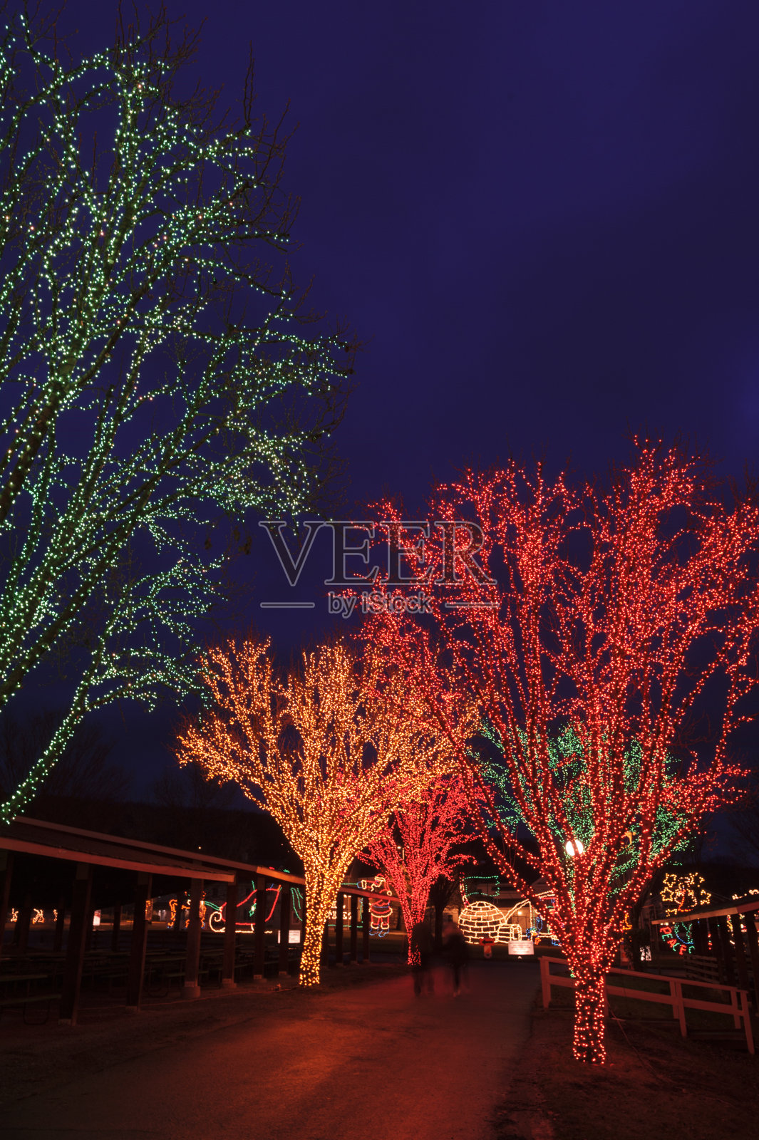 圣诞树节日灯沿城镇街道在晚上照片摄影图片