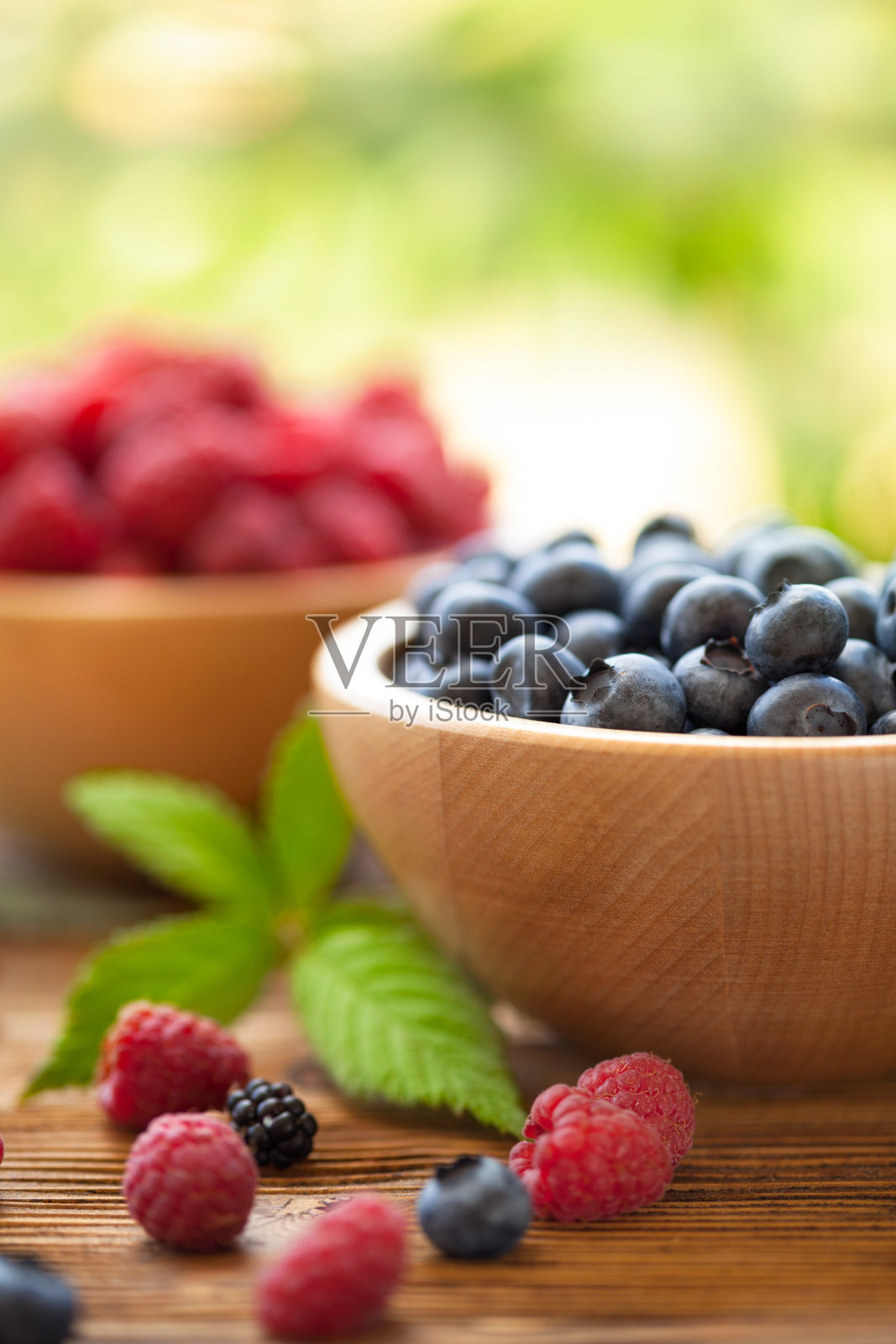 浆果照片摄影图片