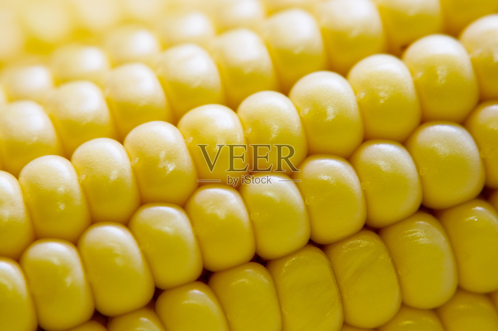 玉米耳朵照片摄影图片