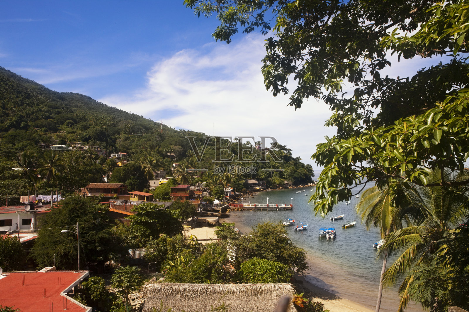 树木和建筑物的俯视图照片摄影图片