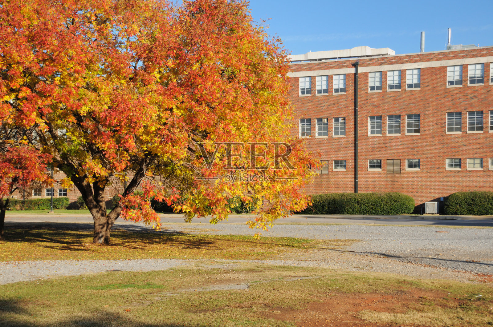 秋季工业建筑照片摄影图片
