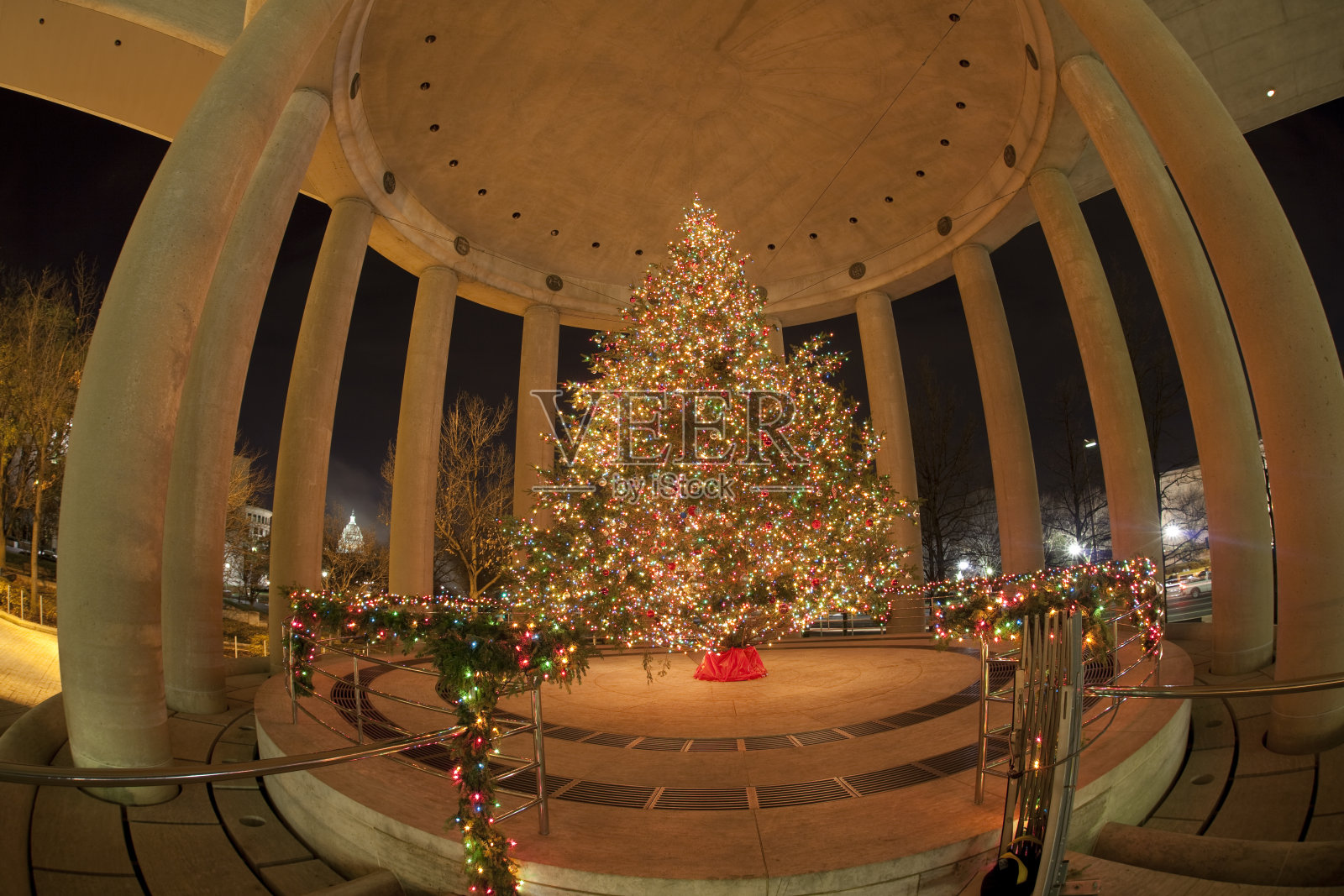 直流圣诞树照片摄影图片