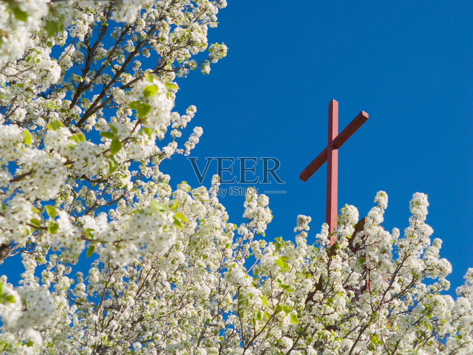 基督教的春天照片摄影图片