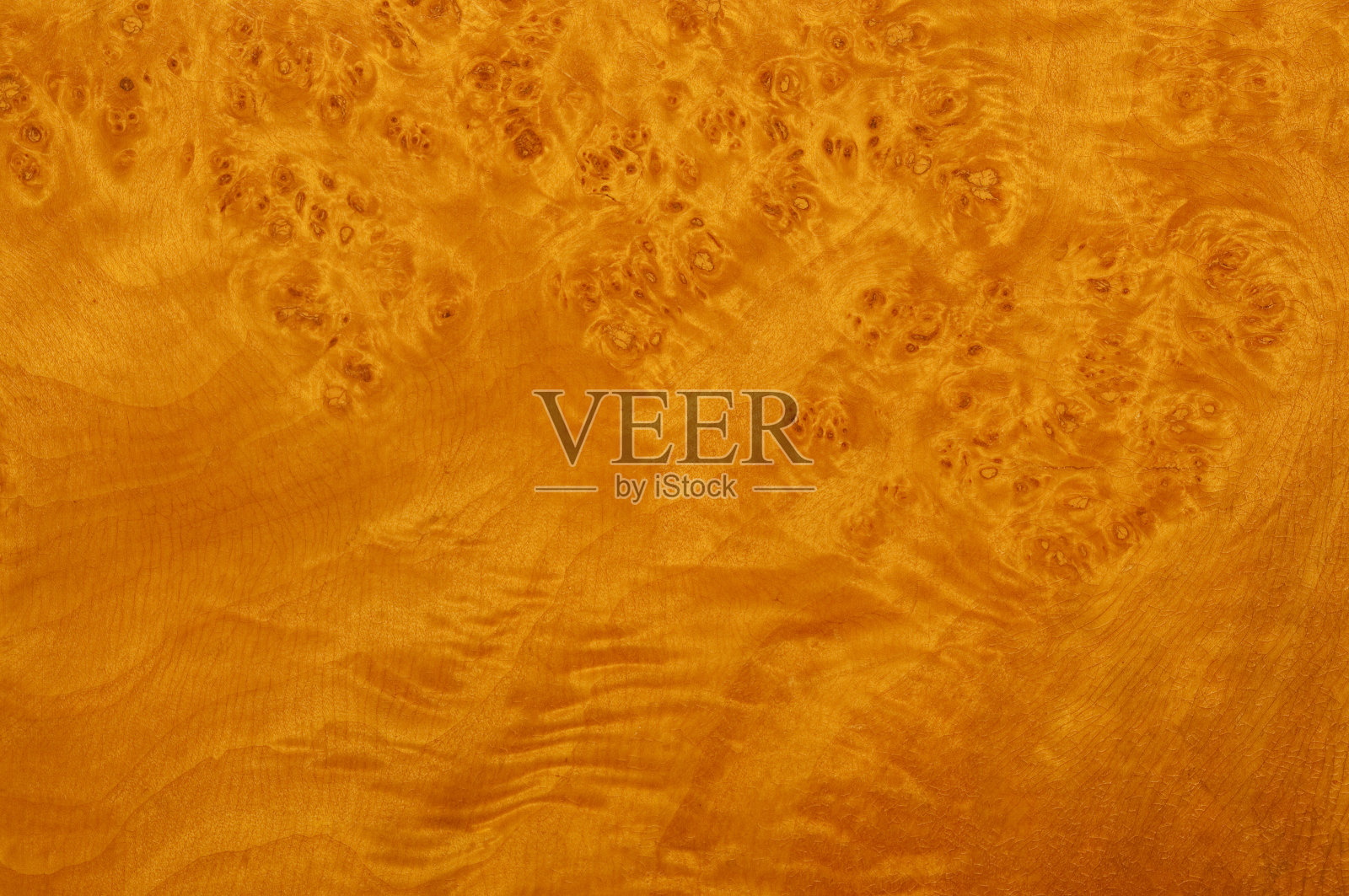 树瘤木生动的图案满框背景照片摄影图片