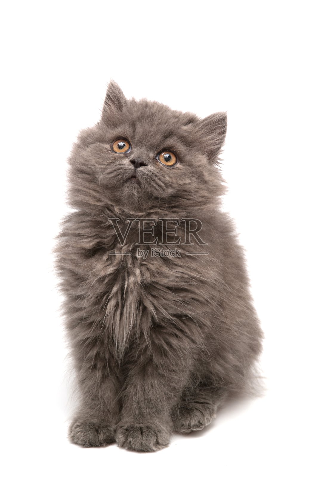 看看我!照片摄影图片