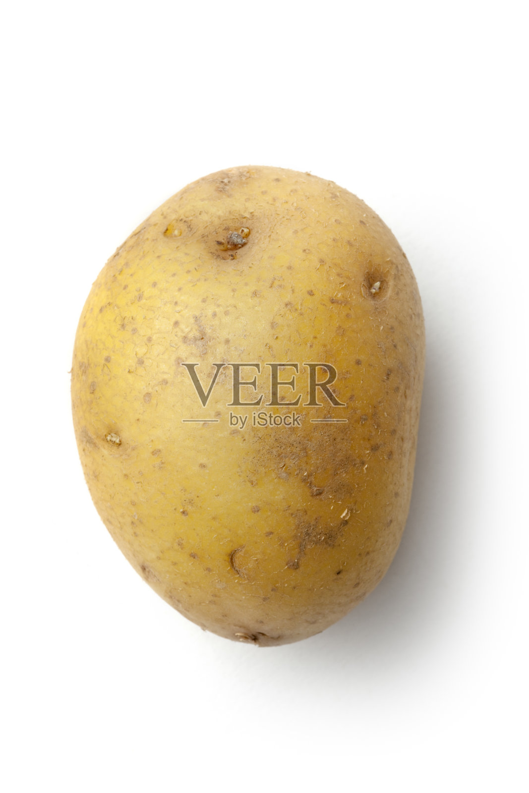 蔬菜:马铃薯孤立在白色背景照片摄影图片