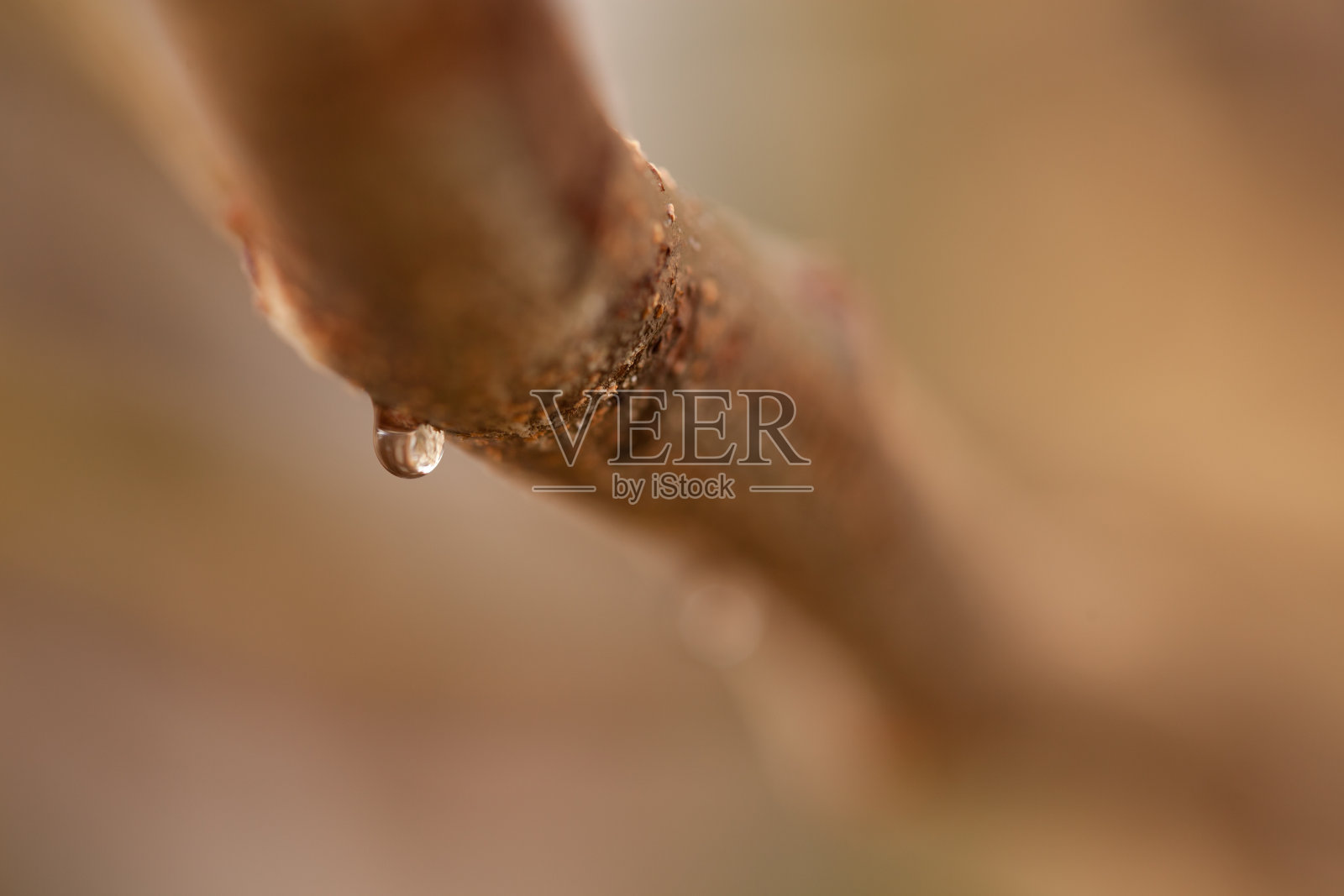 雨下降照片摄影图片