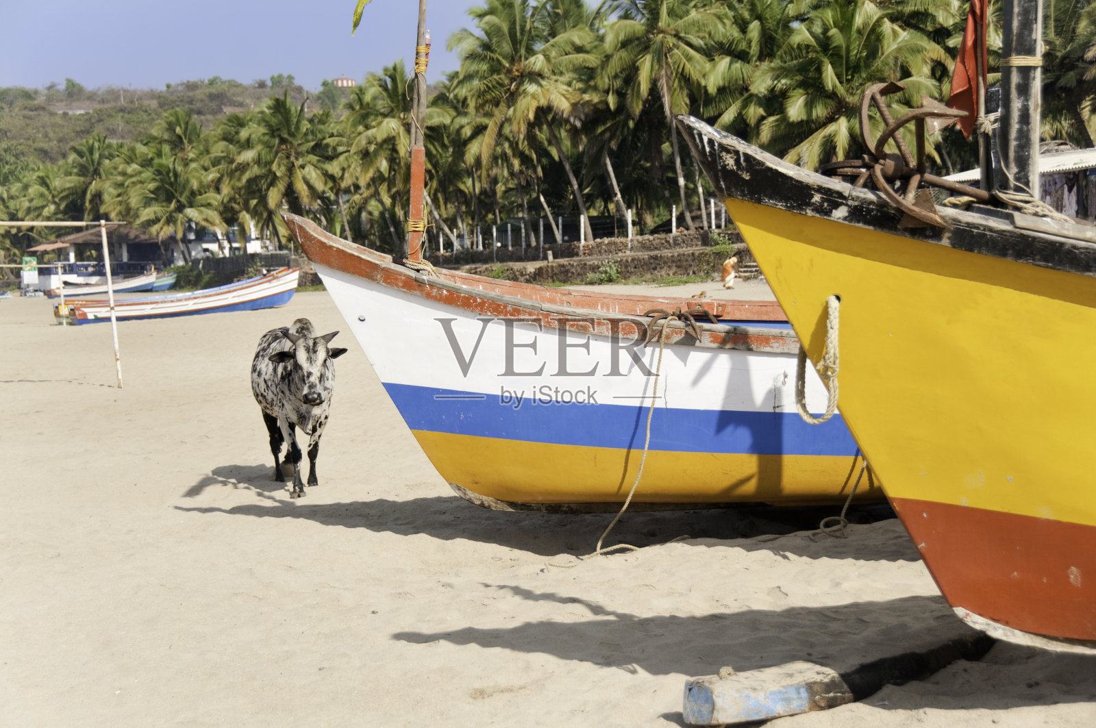 印度海滩照片摄影图片