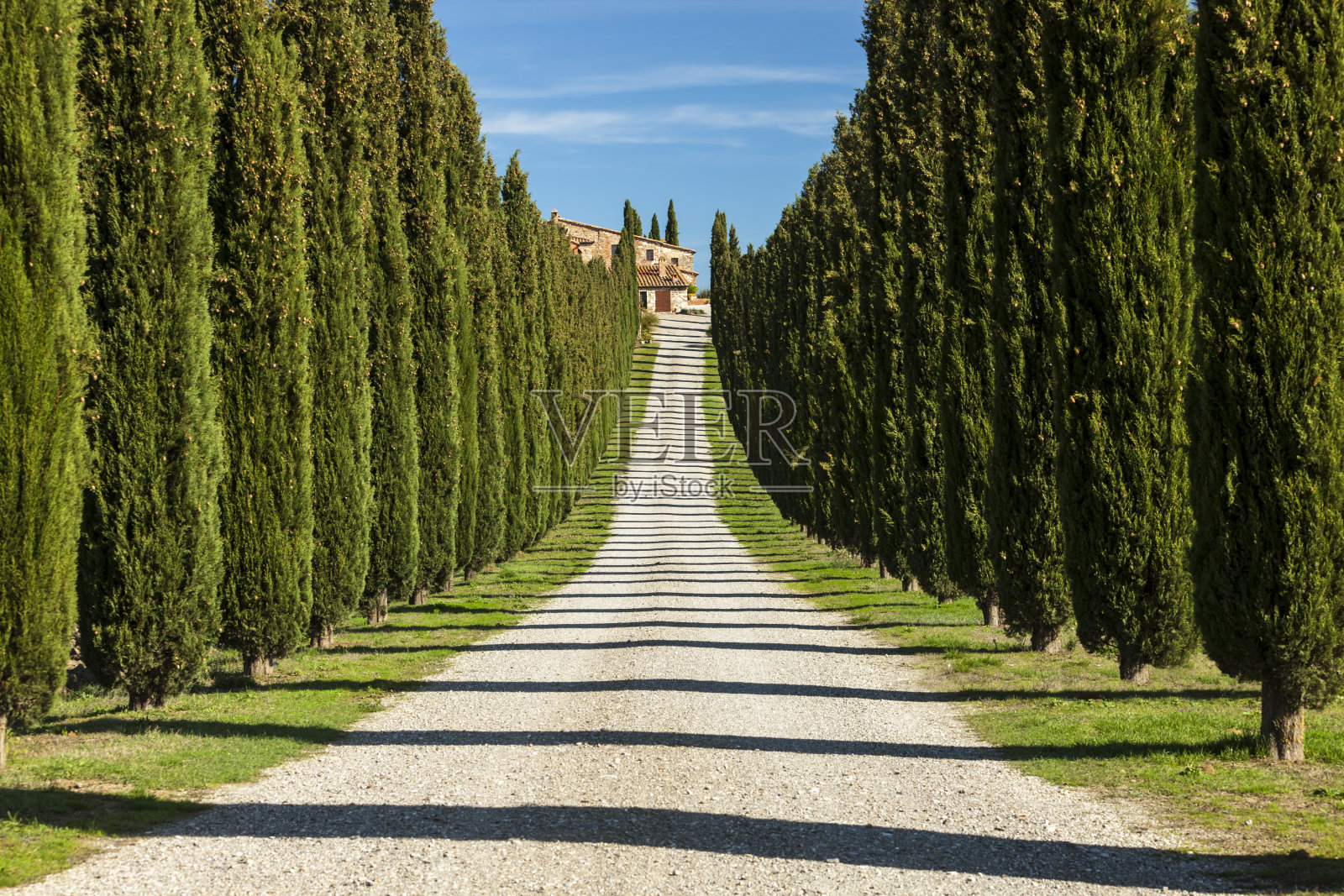 意大利托斯卡纳的柏树巷照片摄影图片