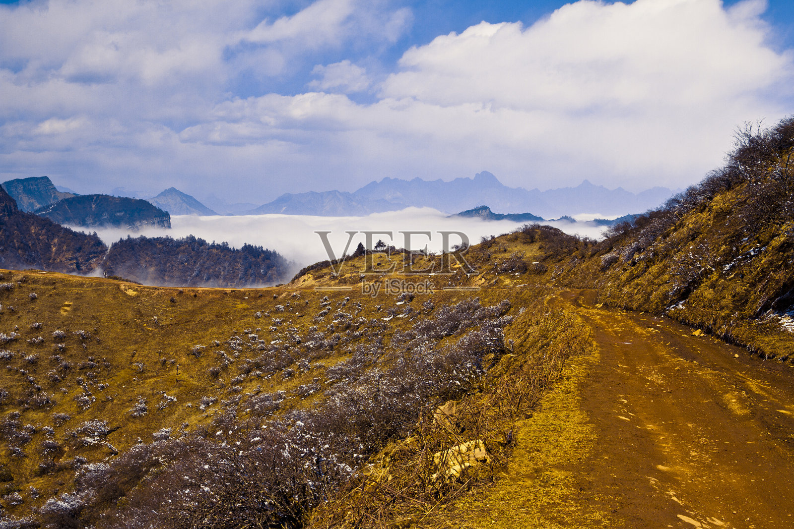 自然美照片摄影图片