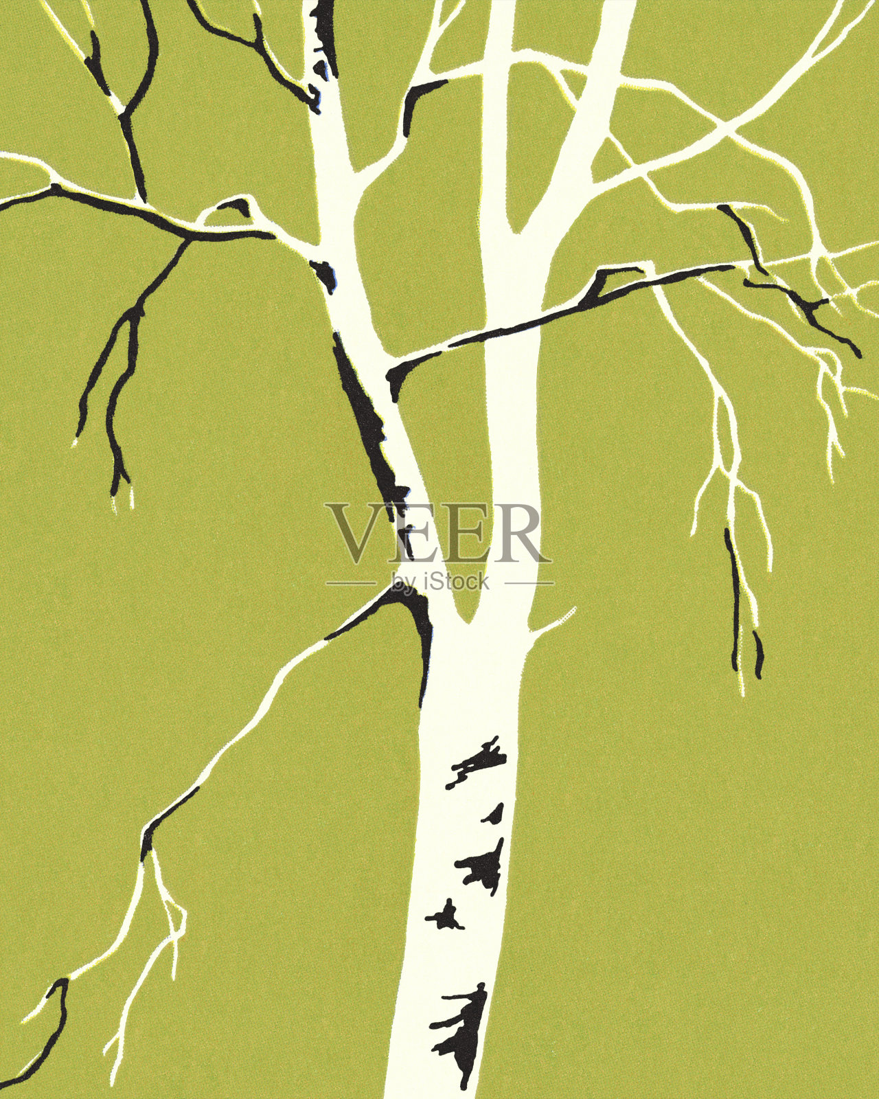 在绿色背景上的光秃秃的树照片摄影图片