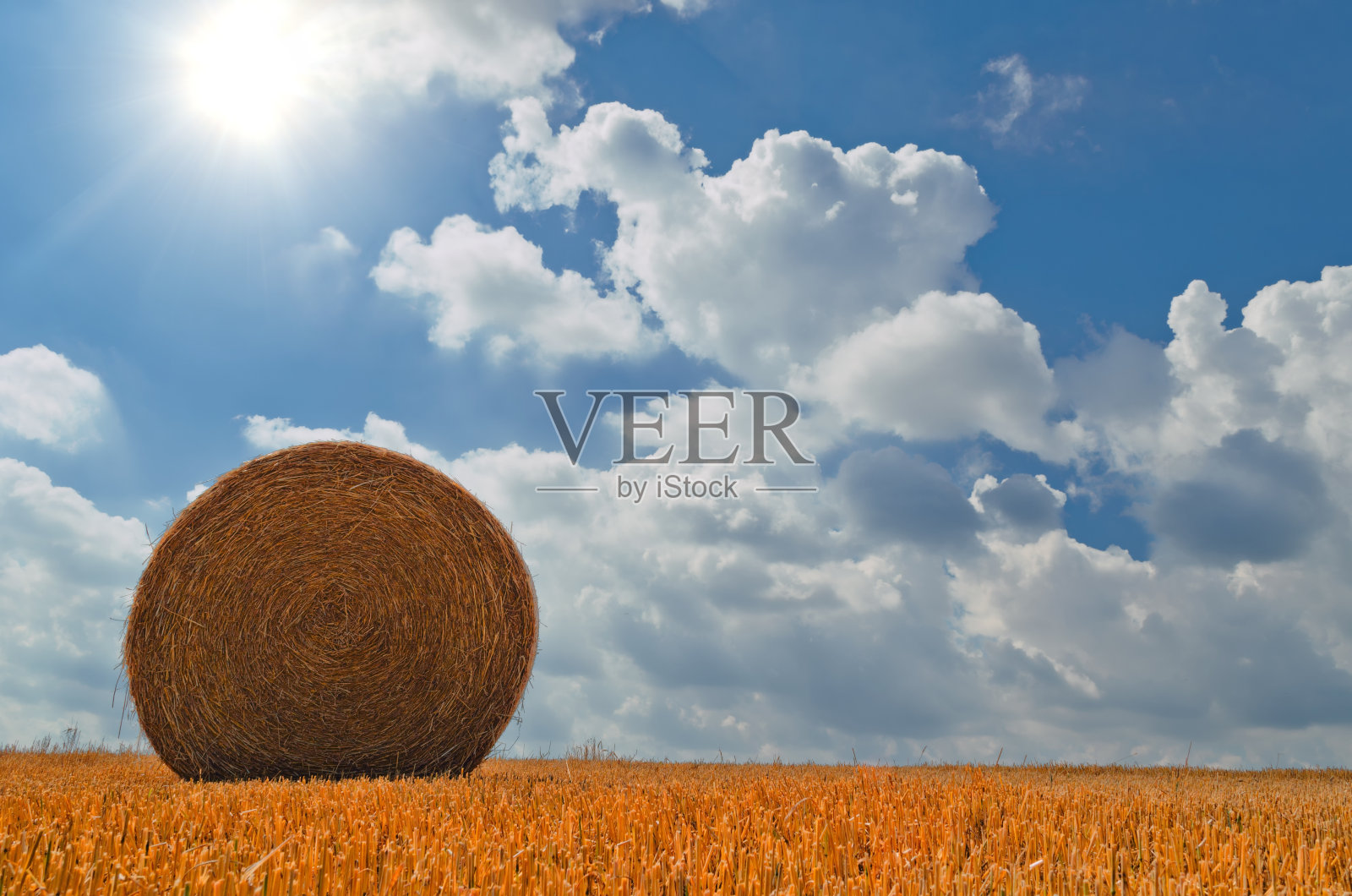 田野上的稻草捆照片摄影图片