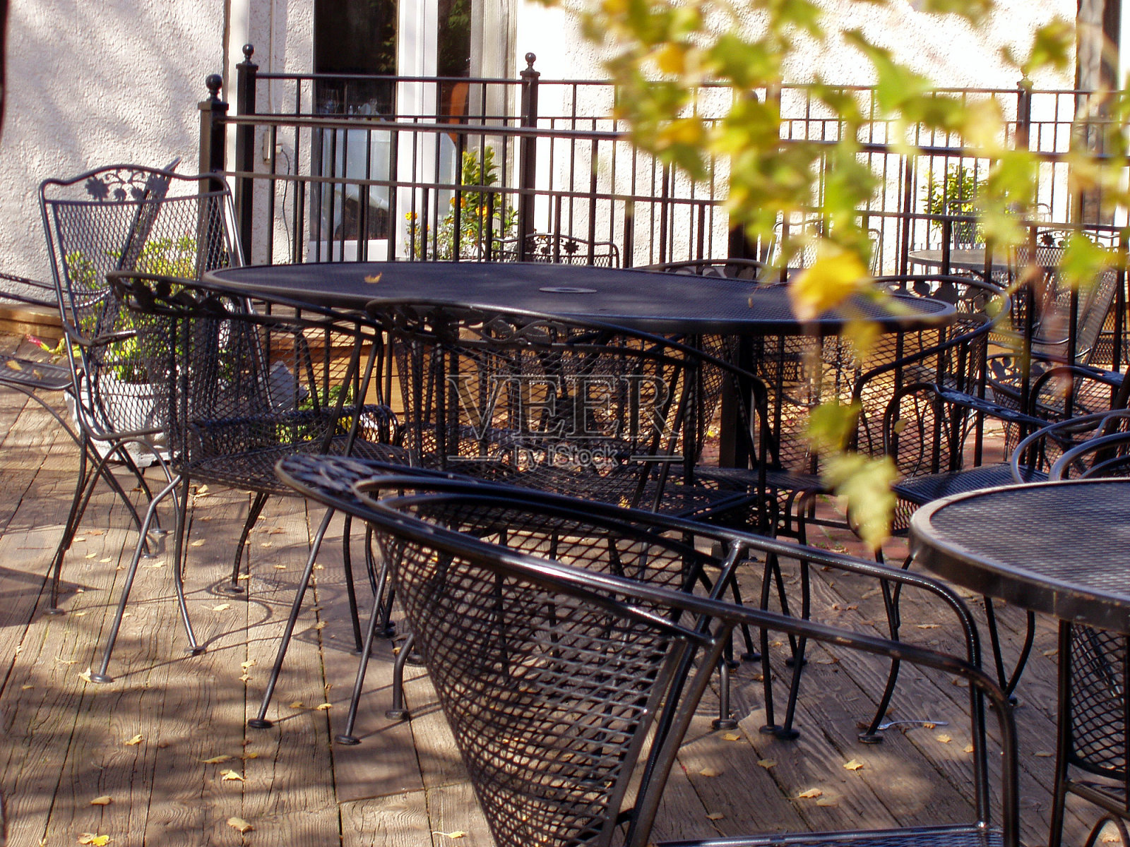 Caf吗?——庭院照片摄影图片