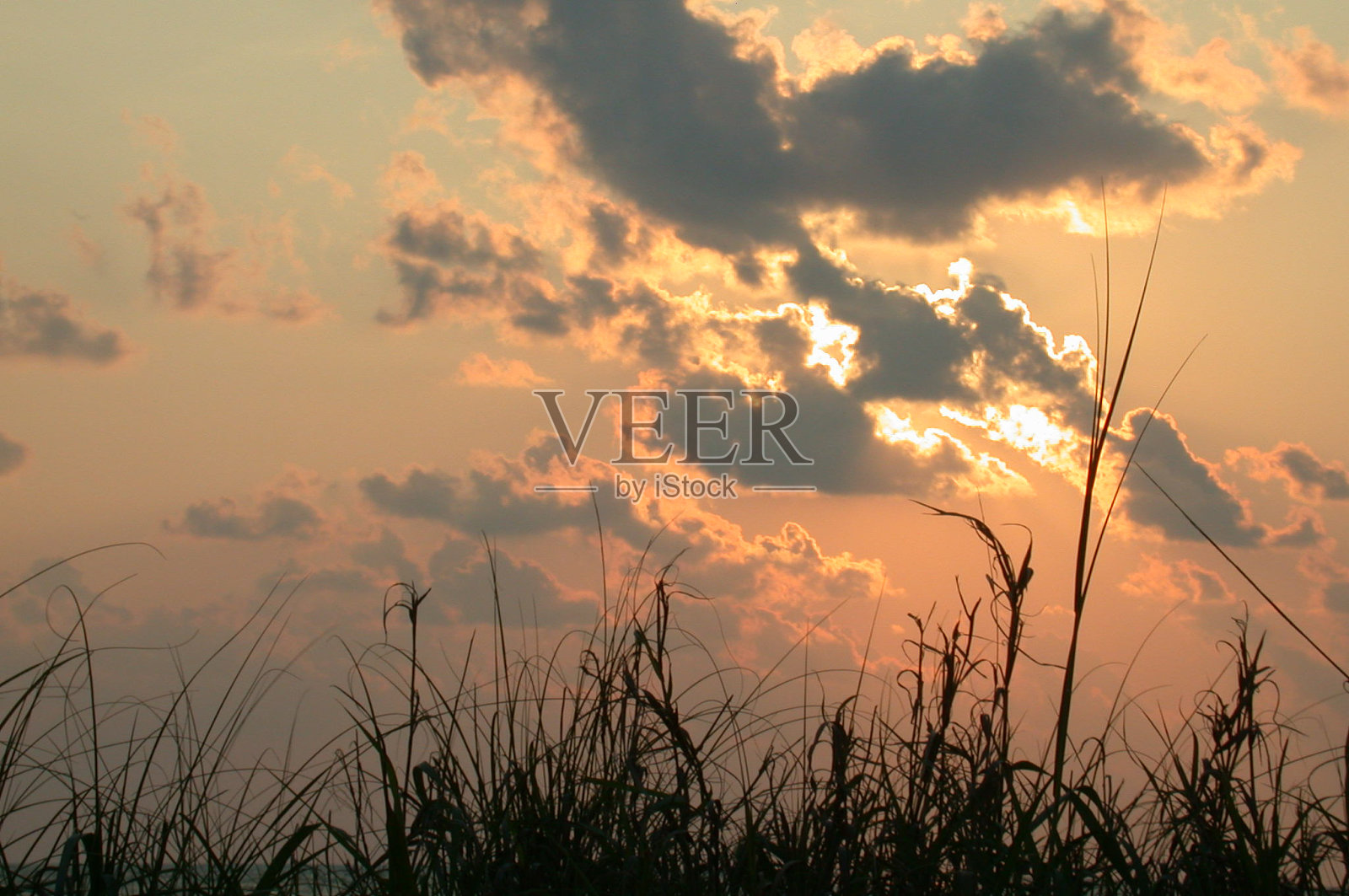 日落时分的海龟海滩照片摄影图片