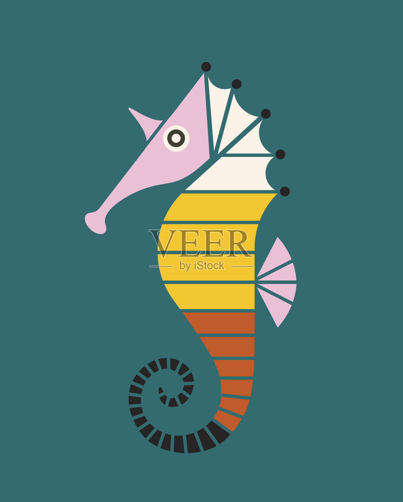 海马照片摄影图片