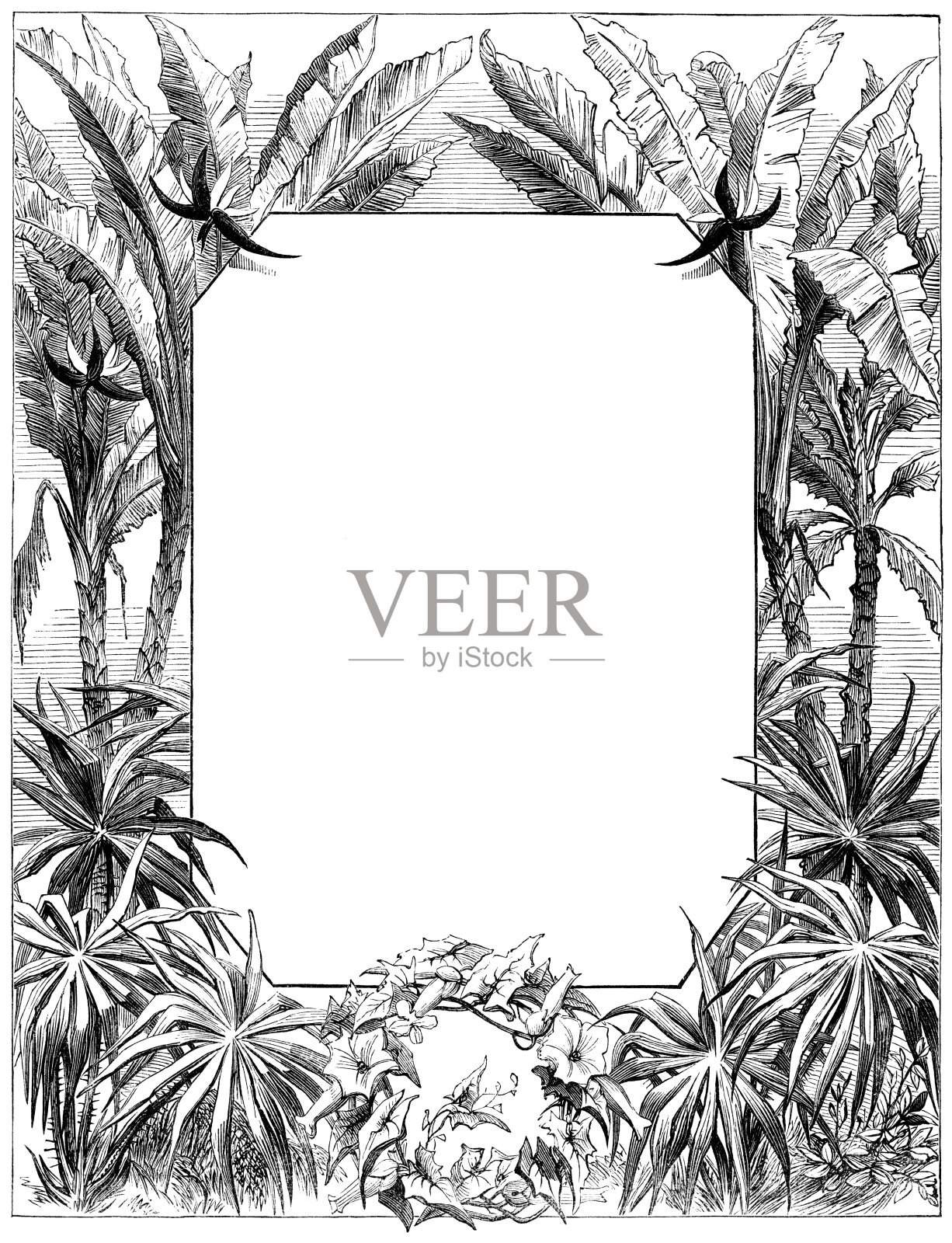 维多利亚式棕榈树镶边设计元素图片