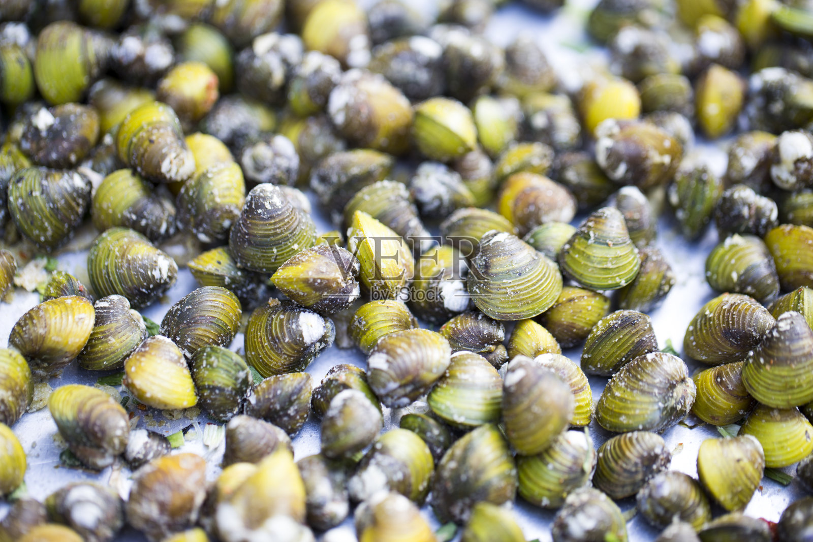 盐渍贝类——东南亚一种受欢迎的小吃。照片摄影图片