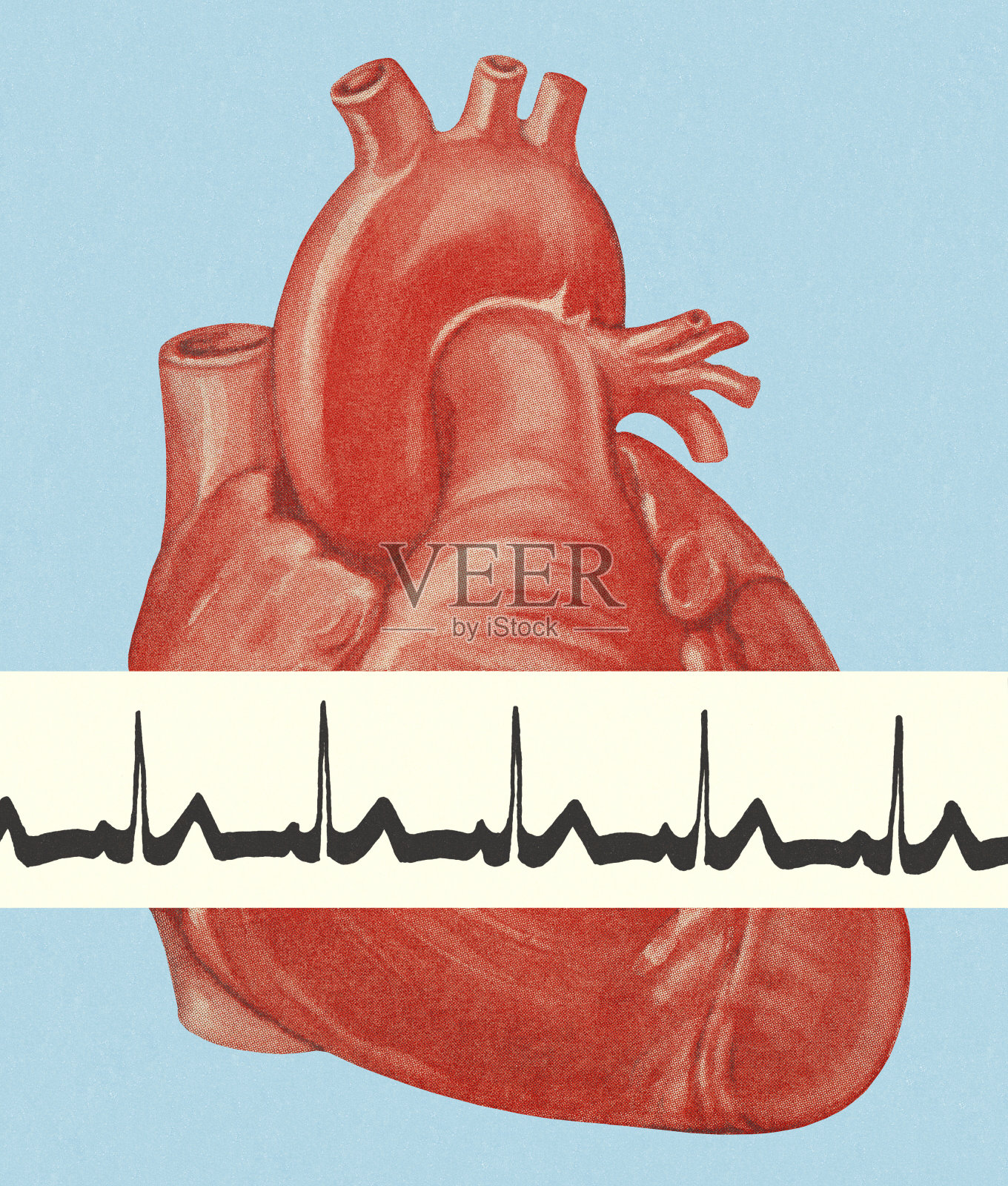 心跳照片摄影图片