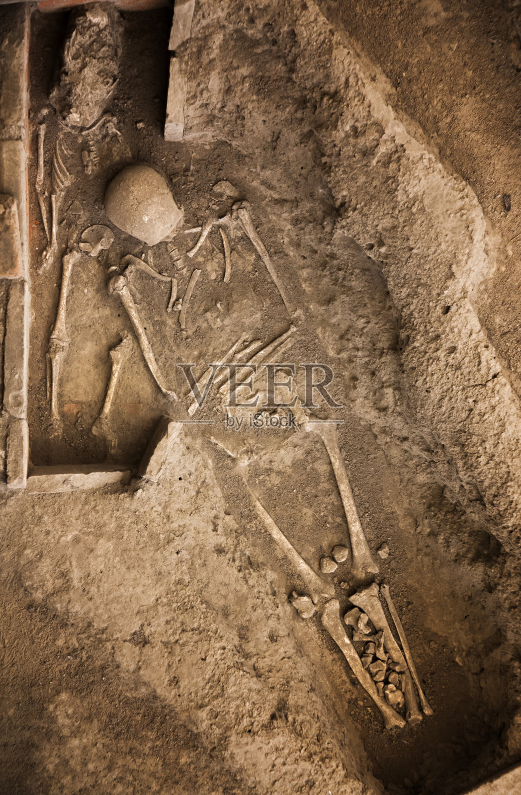 骨架照片摄影图片