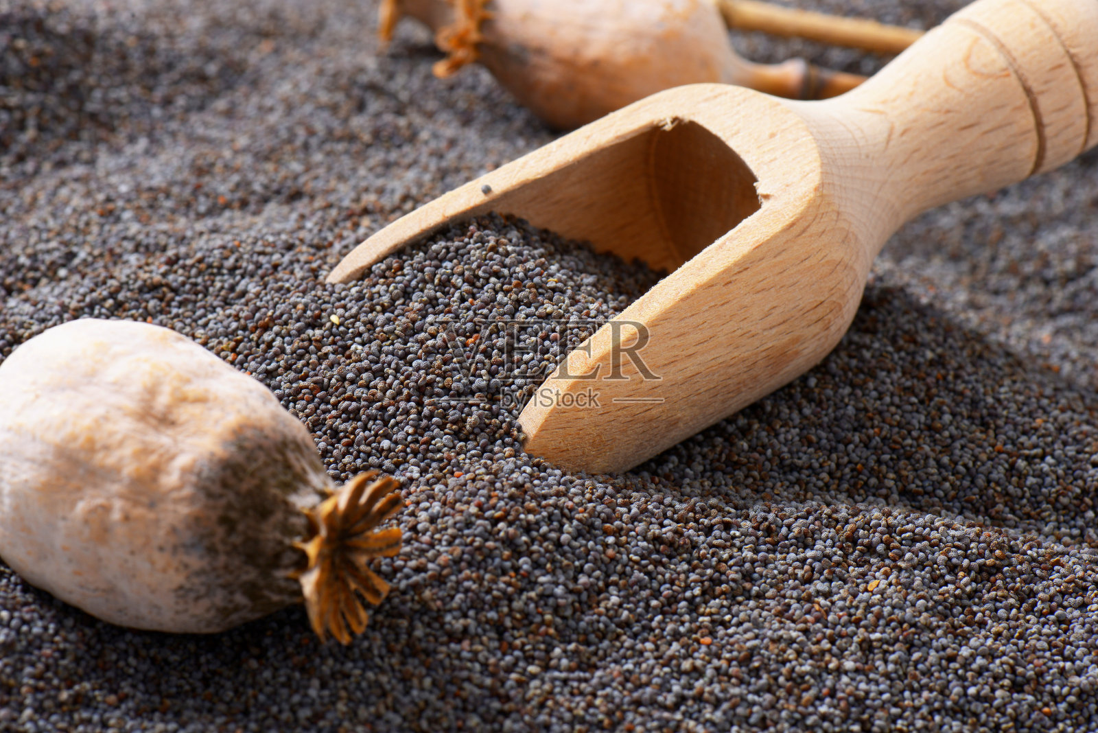 罂粟籽，头和勺照片摄影图片