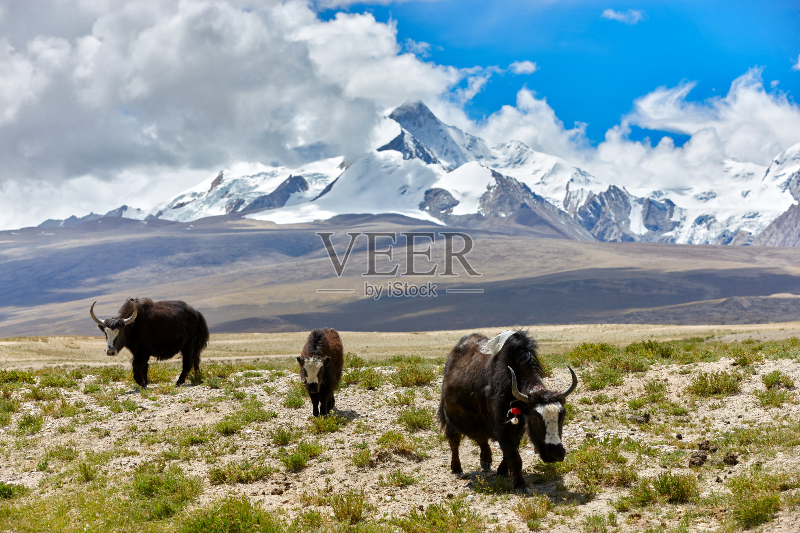 凯拉什。西藏的动机。照片摄影图片