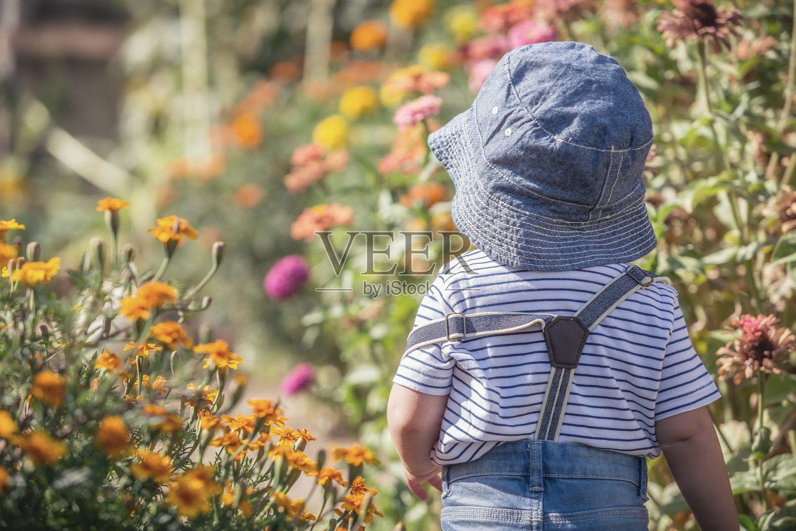 花中的小男孩照片摄影图片