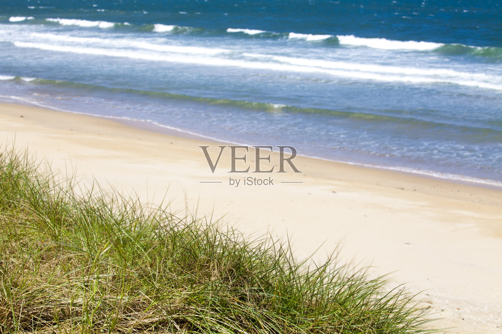 野生的海滩照片摄影图片