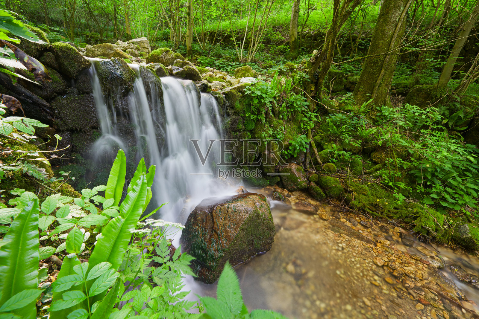 Chiampo河上的瀑布(Crespadoro的Ferrazza)照片摄影图片