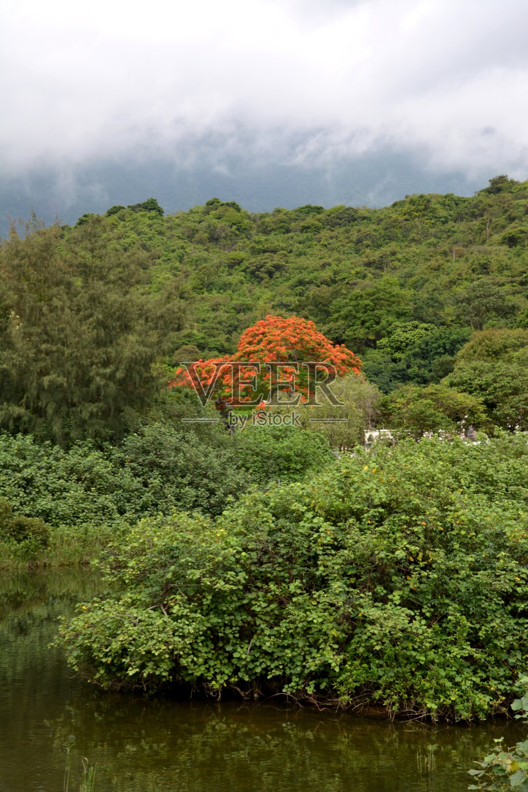 香港大屿山青塘照片摄影图片