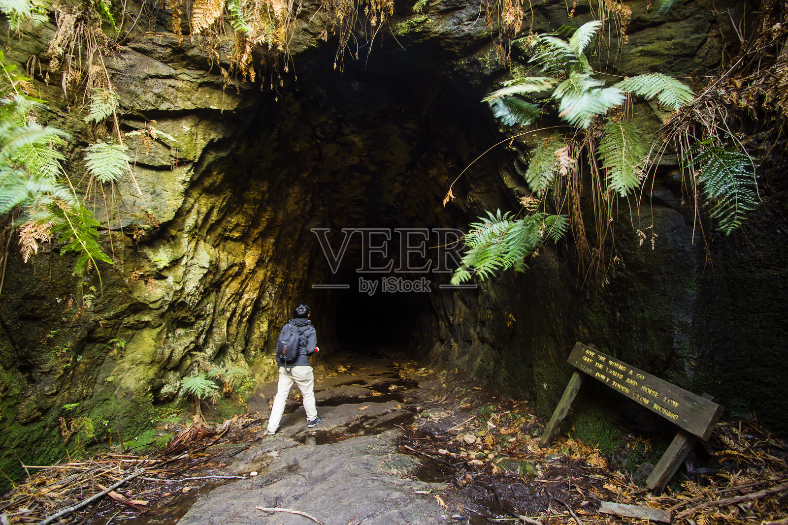 发光蠕虫隧道照片摄影图片