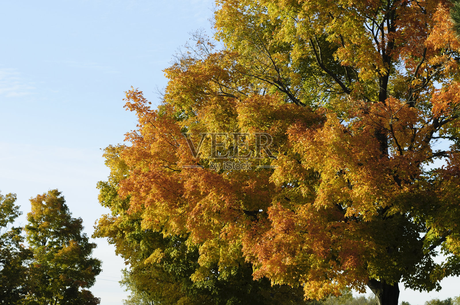 密歇根州的秋天照片摄影图片