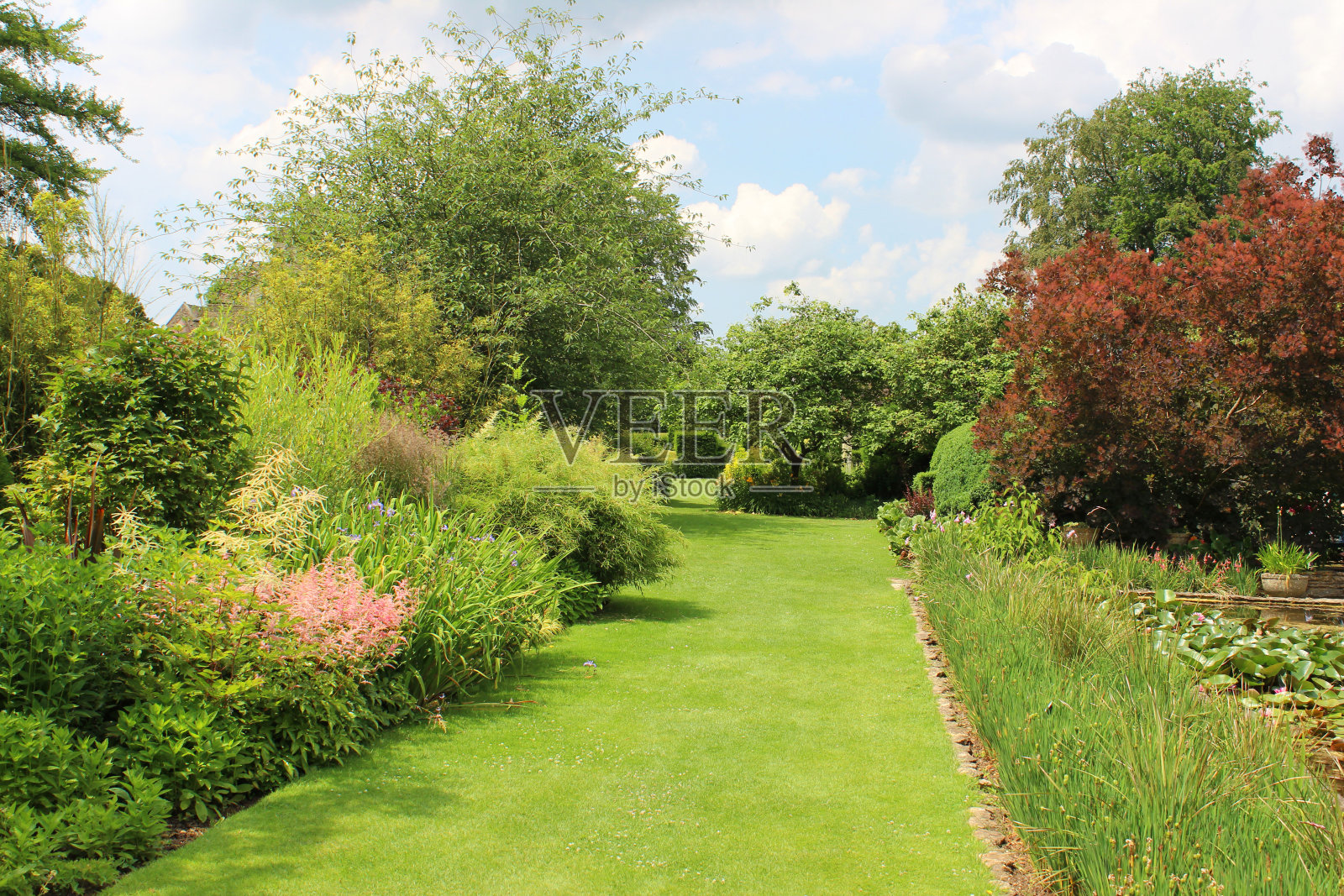 花园草坪的图像，有草本的边缘花，落新妇照片摄影图片