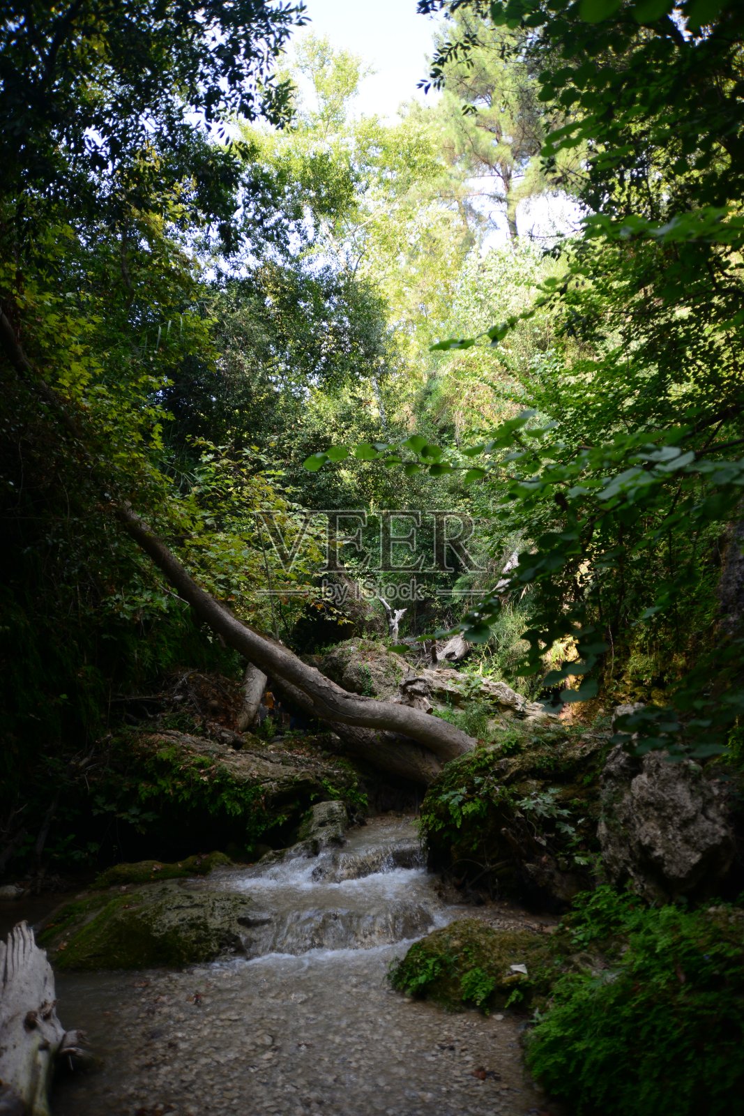 土耳其费特希耶，萨克利肯特峡谷照片摄影图片