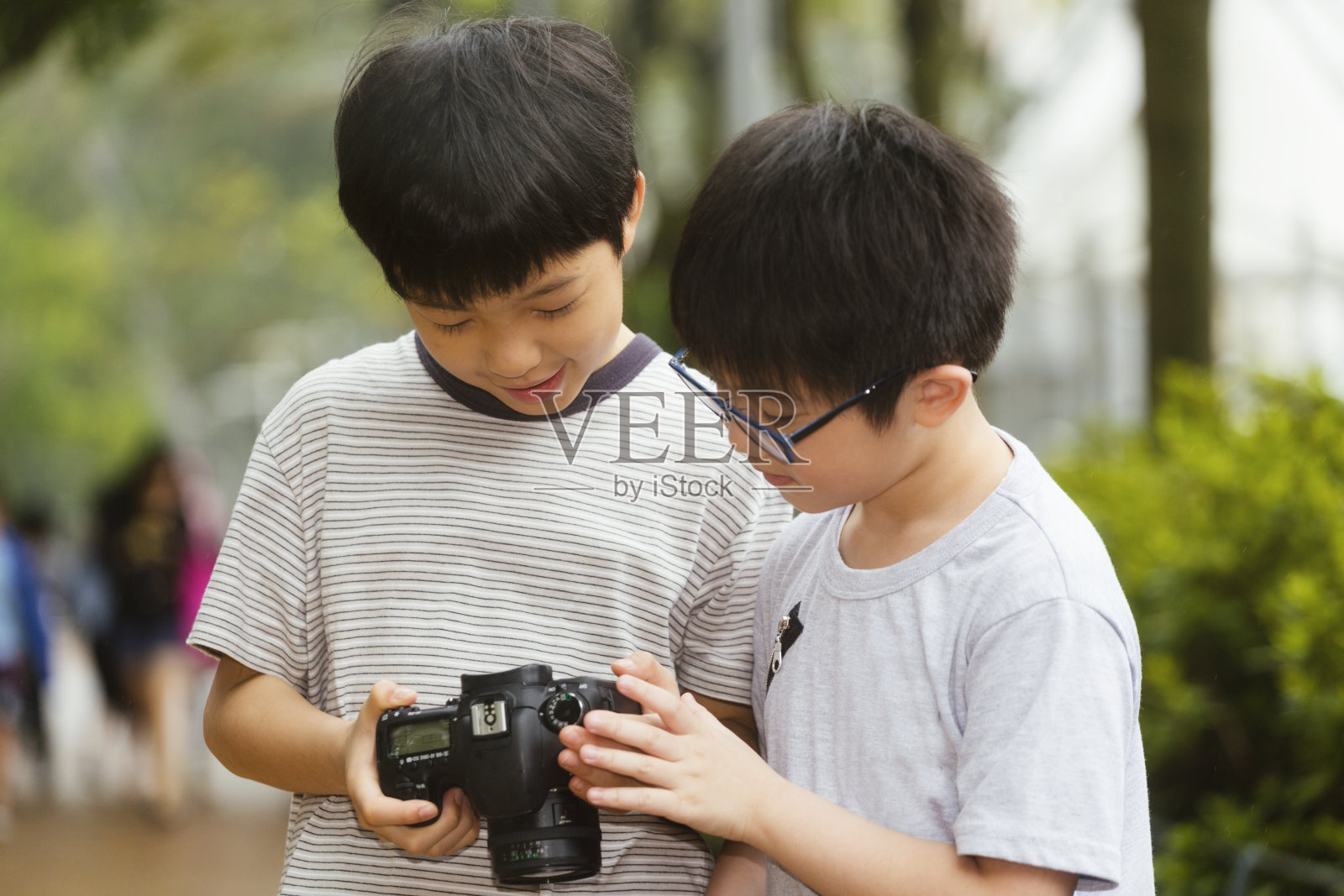 看图片照片摄影图片