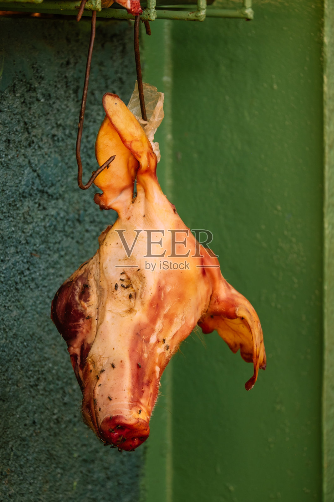 哈瓦那肉市场的猪头照片摄影图片