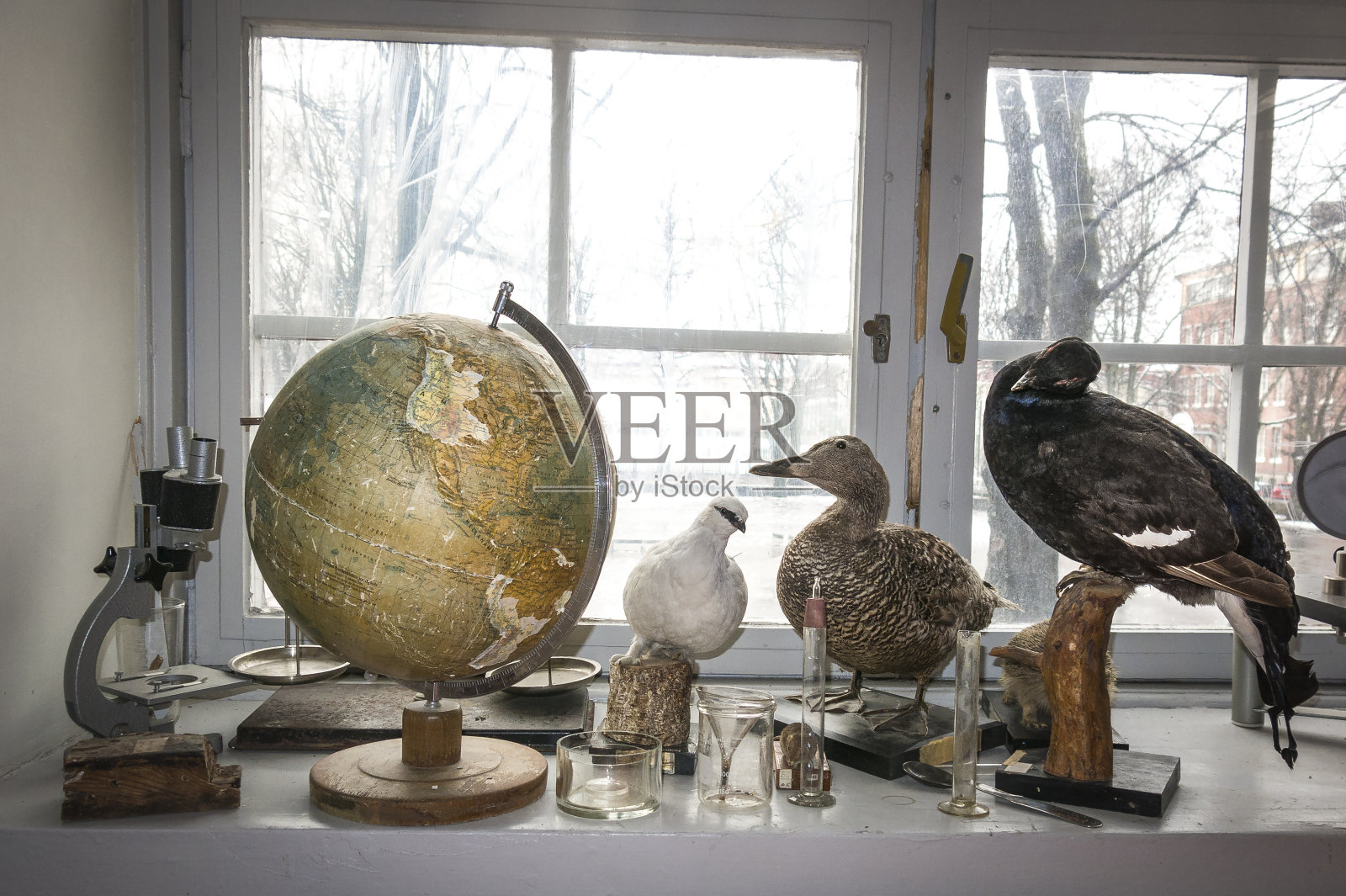 在橱窗中展示旧的学校材料照片摄影图片