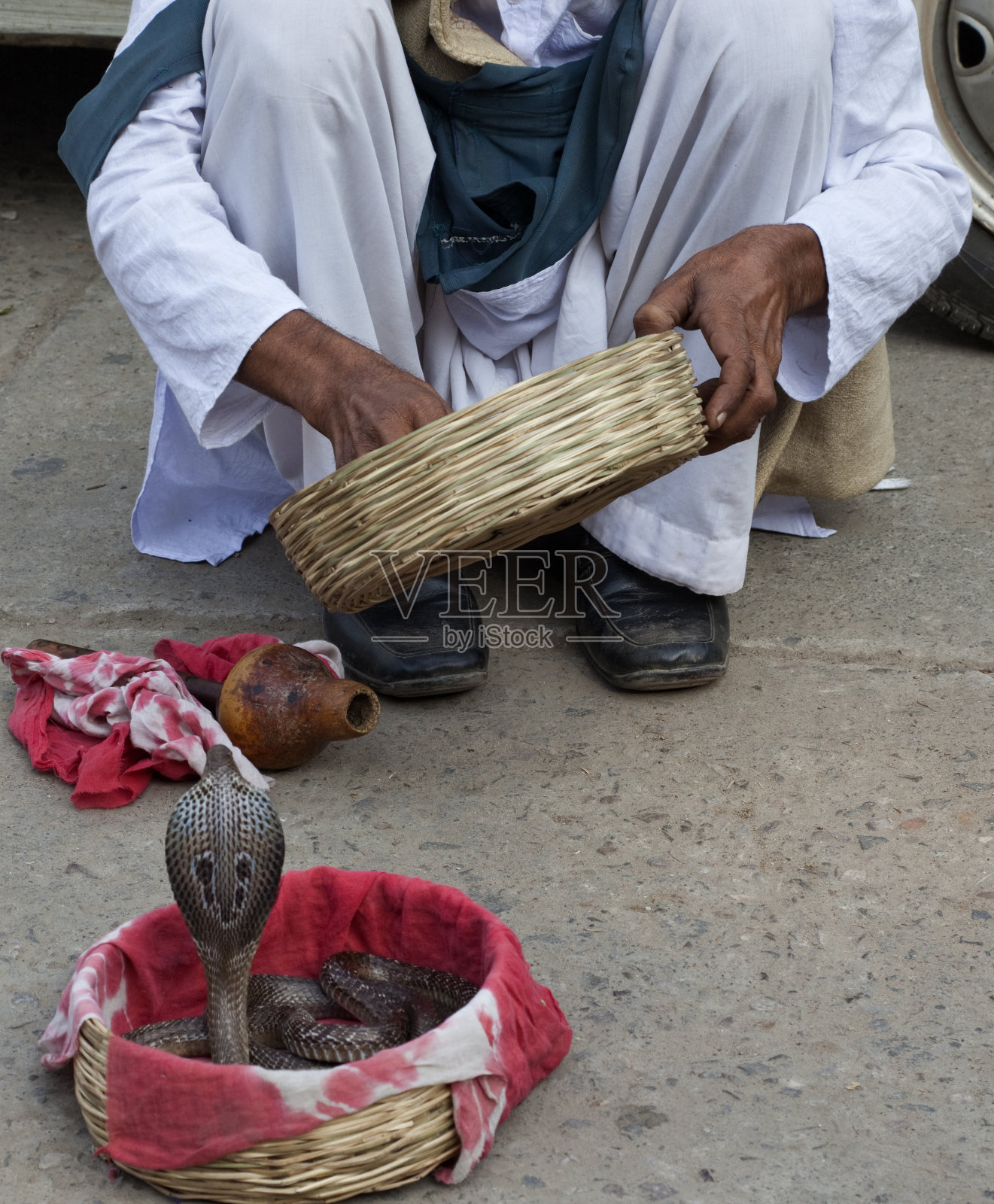 眼镜蛇魔术师照片摄影图片